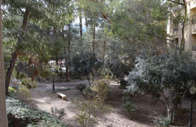 1 bed, 1 bath, $1,500, Unit 116
