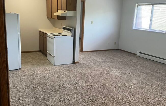 1 bed, 1 bath, 580 sqft, $650, Unit 1540-14