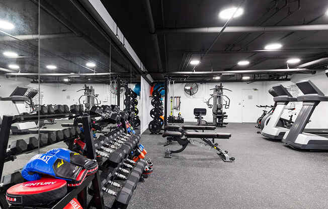 Fitness center Including cycling bikes, ellipticals, treadmills, free weights, and stretching balls.