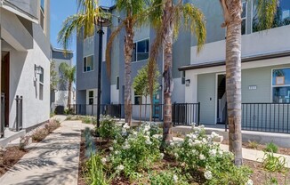 255 N STANDARD