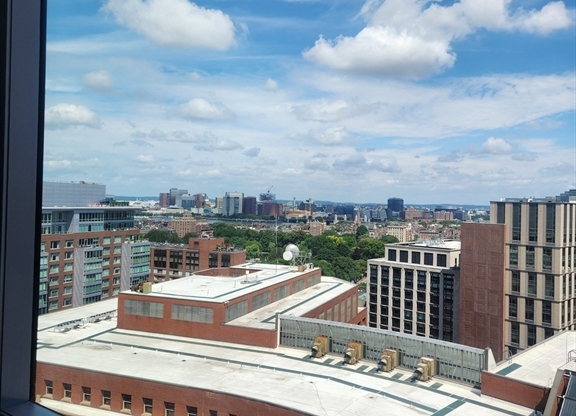 Studio, 1 bath, 437 sqft, $3,300, Unit 19D