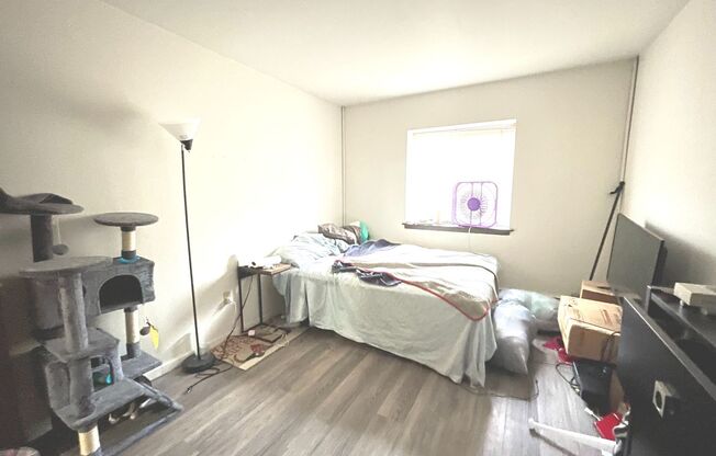 1 bed, 1 bath, $1,195, Unit 308