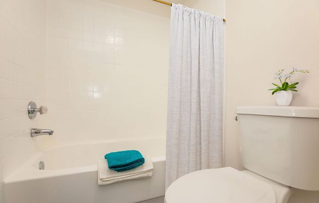 1 bed, 1 bath, 600 sqft, $1,199, Unit HIDDENV-214
