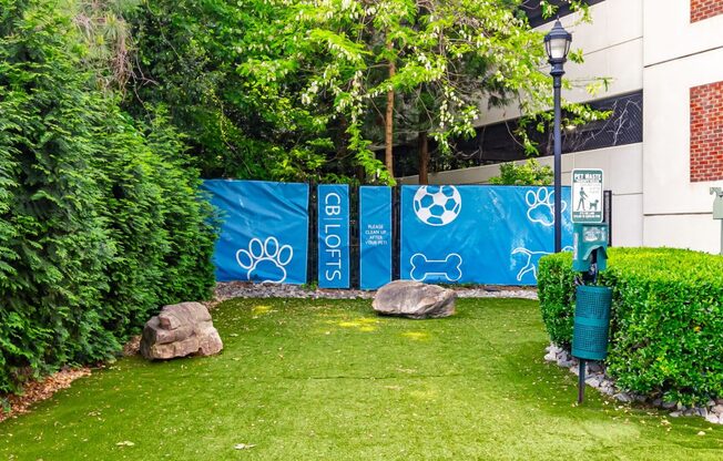 a garden with grass and rocks and a blue fence