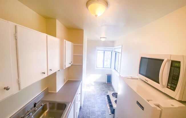 Studio, 1 bath, 390 sqft, $1,150, Unit 10