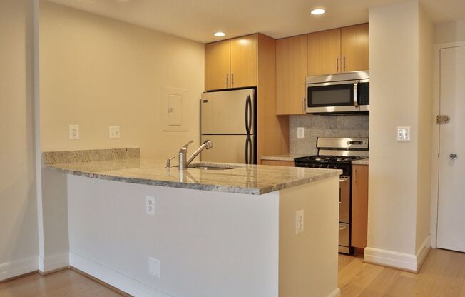 Studio, 1 bath, 460 sqft, $2,800, Unit 0524