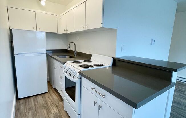 2 beds, 1 bath, 600 sqft, $2,095, Unit 203