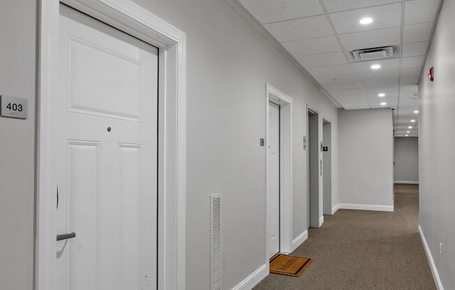 Studio, 1 bath, 621 sqft, $1,500, Unit 203