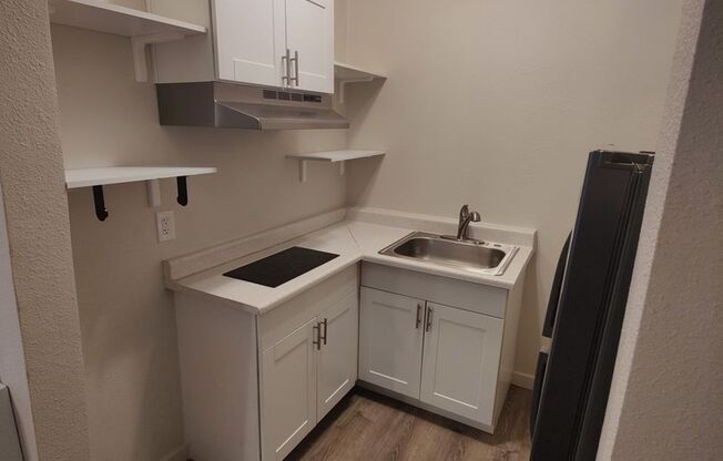 Studio, 1 bath, 306 sqft, $1,295, Unit 100