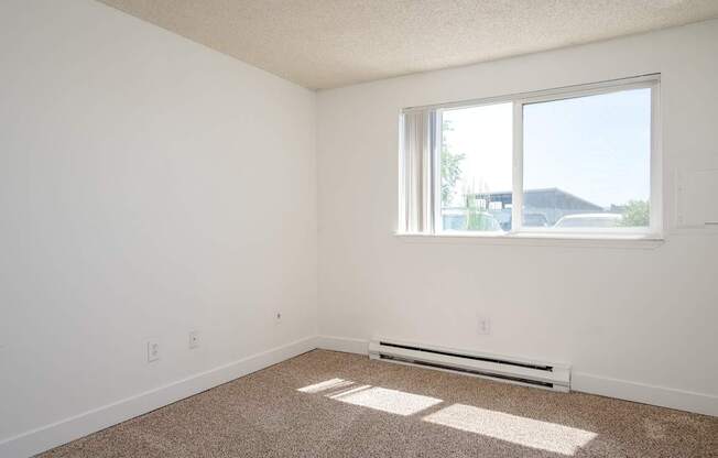 A room with a window and a carpet on the floor.