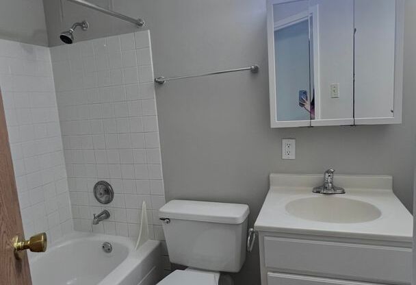 2 beds, 1 bath, 710 sqft, $1,250, Unit # 1309