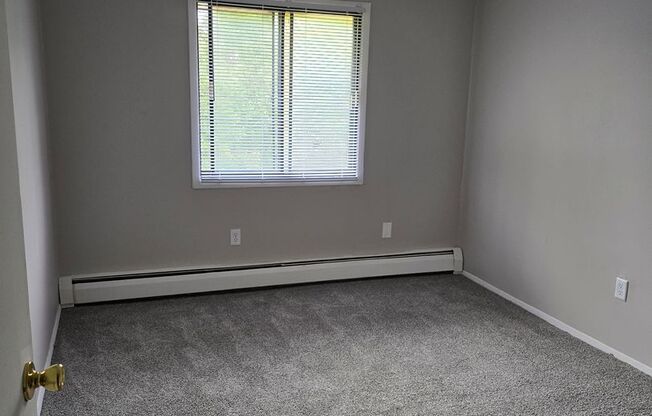 1 bed, 1 bath, $1,250, Unit 320