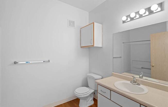 a bathroom with a sink and a toilet and a mirror