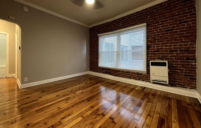 Studio, 1 bath, 250 sqft, $1,295, Unit 205