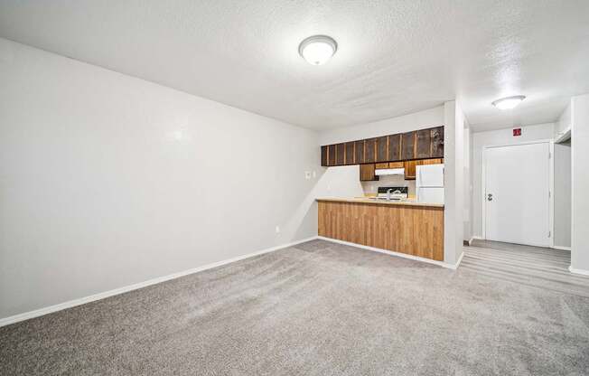 A room with a white wall and a carpeted floor.