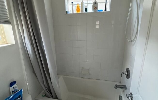 1 bed, 1 bath, 120 sqft, $1,295, Unit Room 1