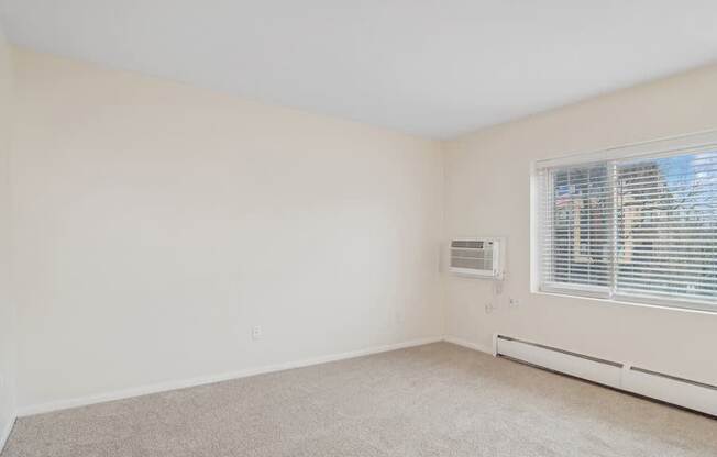 A room with a window and a carpeted floor.