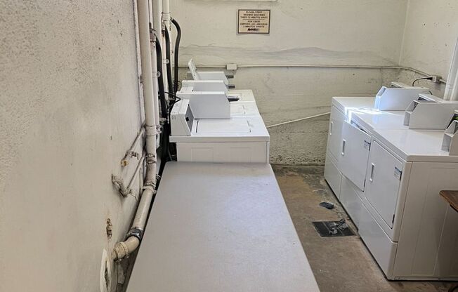 Studio, 1 bath, 350 sqft, $1,250, Unit Unit 404
