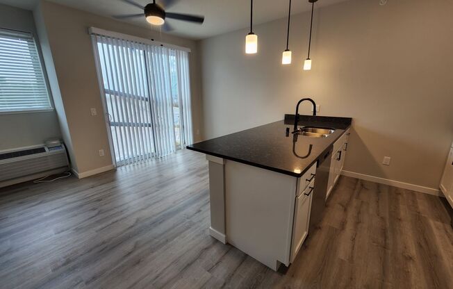 Studio, 1 bath, 507 sqft, $1,150, Unit 500-205