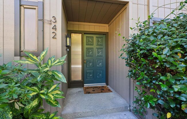 342 Alamo Square Drive