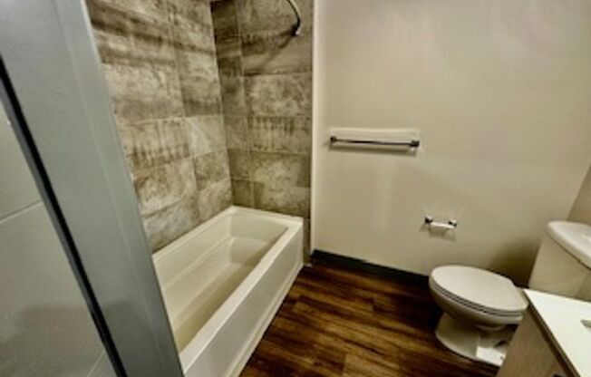 Studio, 1 bath, 316 sqft, $1,295, Unit 205