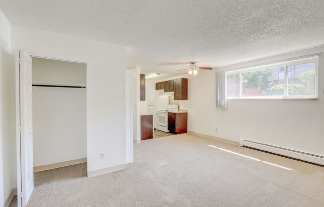 Studio, 1 bath, 438 sqft, $900, Unit 102