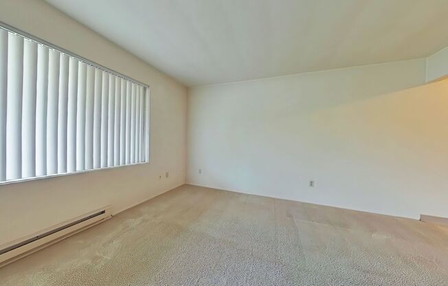 2 Bedroom Apartment ~ Close to Campus ~ Cat Friendly