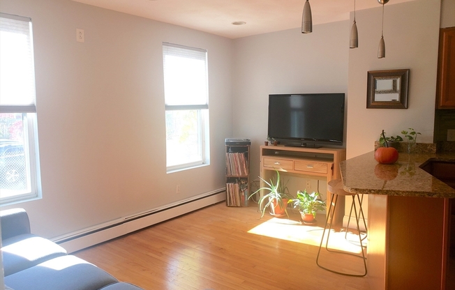 30 HAYNES ST