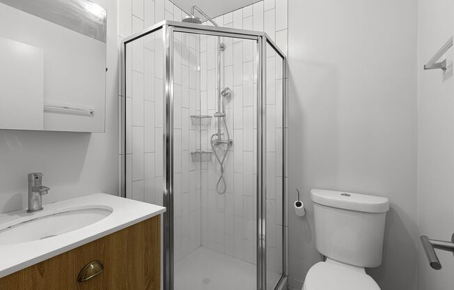 Studio, 1 bath, 245 sqft, $1,500, Unit 310