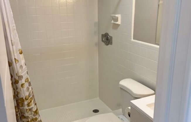 Studio, 1 bath, 435 sqft, $1,500, Unit 704-4