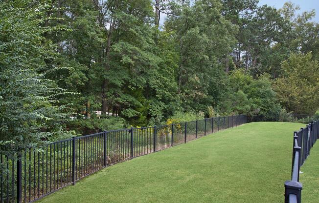 Private, off-leash dog park surrounded by trees at pet-friendly apartments in Durham, North Carolina
