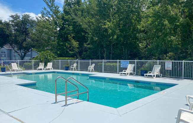 Swimming pool with lounge seating surrounded by native landscaping