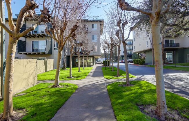 1 Bed / 1 Bath pet friendly condo with parking in beautiful San Mateo. YouTube Tour!