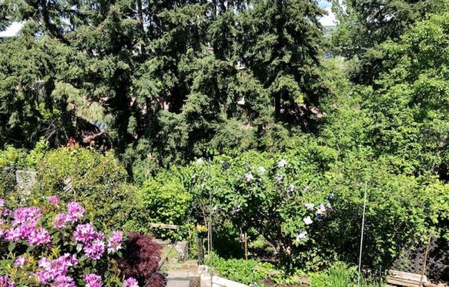 North Queen Anne Duplex