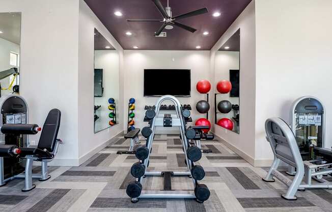 a gym with weights and a tv in the corner