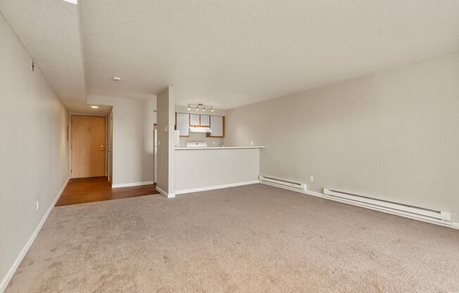 Studio, 1 bath, 504 sqft, $1,591, Unit 303