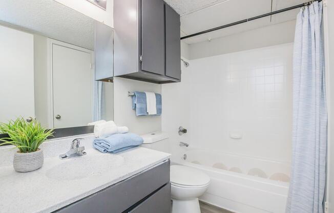 A modern bathroom featuring a white bathtub with a shower, a light-colored countertop with neatly arranged towels and a small plant, dark cabinetry, and a large mirror above the sink. Bright lighting enhances the clean and spacious appearance.