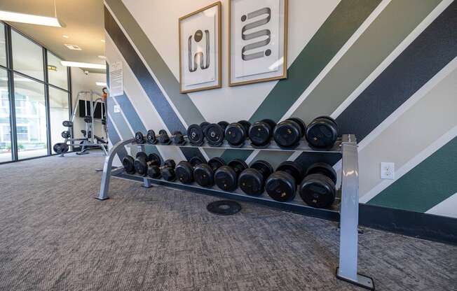 a rack of dumbbells in a gym with stripes on the wall
