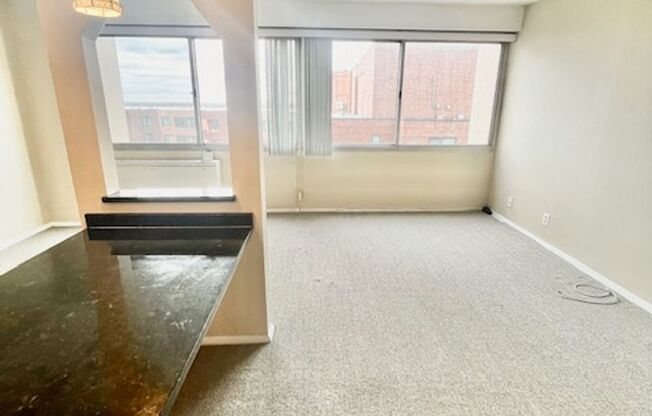 Studio, 1 bath, $1,550, Unit # 1821N