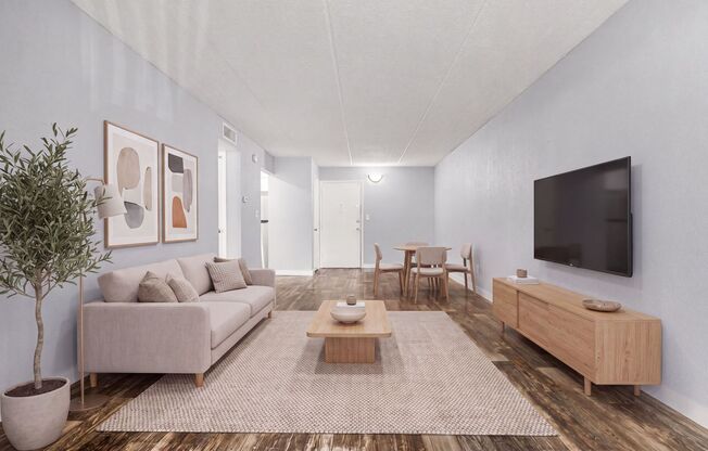 1 bed, 1 bath, 705 sqft, $1,499, Unit 101