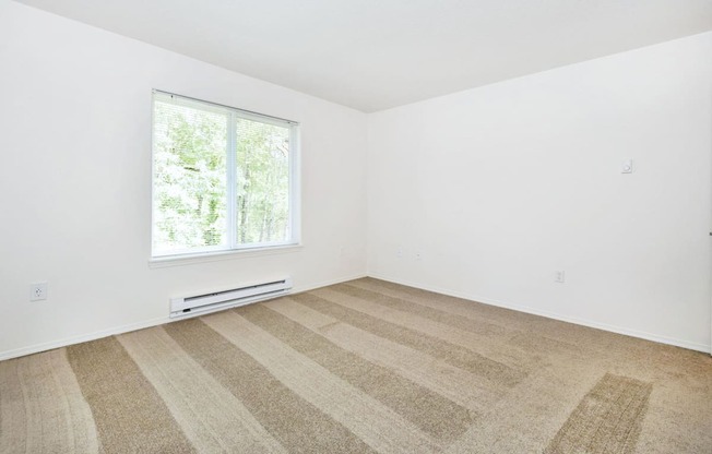 a room with white walls and a window and a carpeted floor