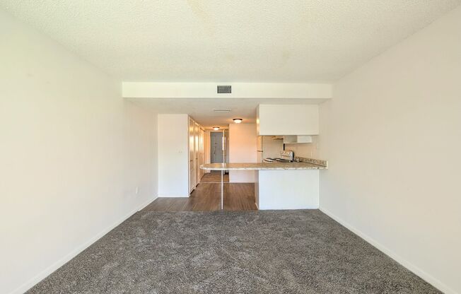 1 bed, 1 bath, 546 sqft, $1,100