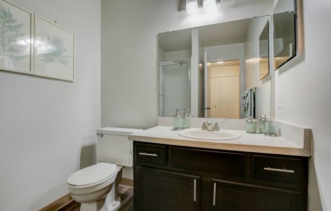 Apartment in Southfield MI with a bathroom with a sink and a toilet and a mirror