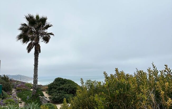 Los Arboles Apartments