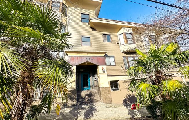 1 bed, 1 bath, 505 sqft, $1,495, Unit 19