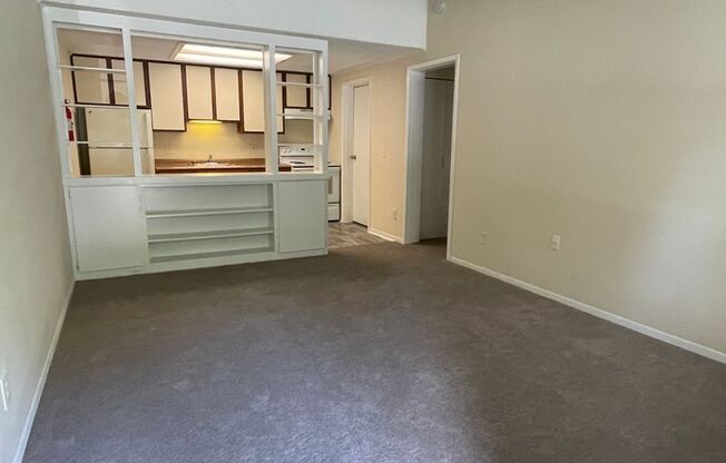 1 bed, 1 bath, $995, Unit 503