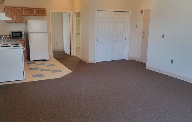 1 bed, 1 bath, 453 sqft, $575, Unit 203