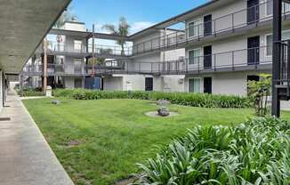 A view of a grassy area in front of apartment buildings.
