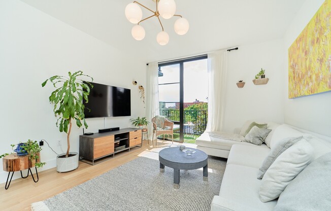 264 WEBSTER AVE