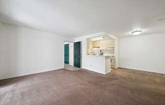 Living Room with Carpet